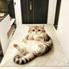 Pashmina Home Decor Carpet 2D Cartoon Carpet Cute Cat  Area Rug  Bedrooms