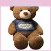 Bear Teddy Plush Toy Cartoon Simulation Dolls Birthday Gifts Home Decoration
