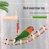 Parrot Climbing & Swing Toy Set for Budgies & Cockatiels