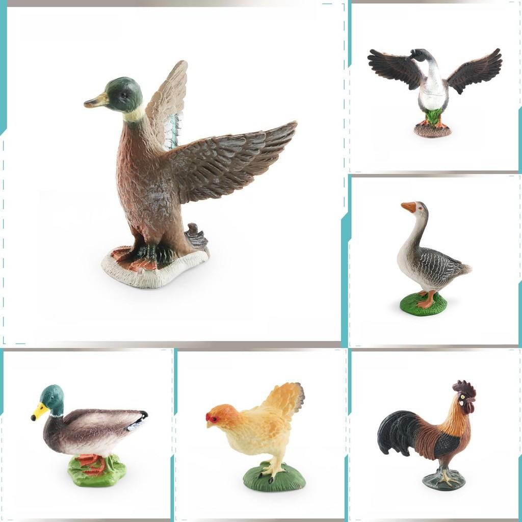 Farm Animal Chicken Duck Goose Model Set For Kids Education And Home Decor With Pvc Realistic Bird Figures