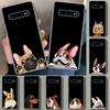 Чехол для телефона с изображением мопса и французского бульдога для Samsung Galaxy S26 S25 Edge S24 S23 Ultra S22 Plus S21 FE S20 + Художественный персонализированный Funda