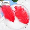 20Pcs57 Big Red Feather Diy Jewelry Accessories Clothing Handicrafts Decorative Materials