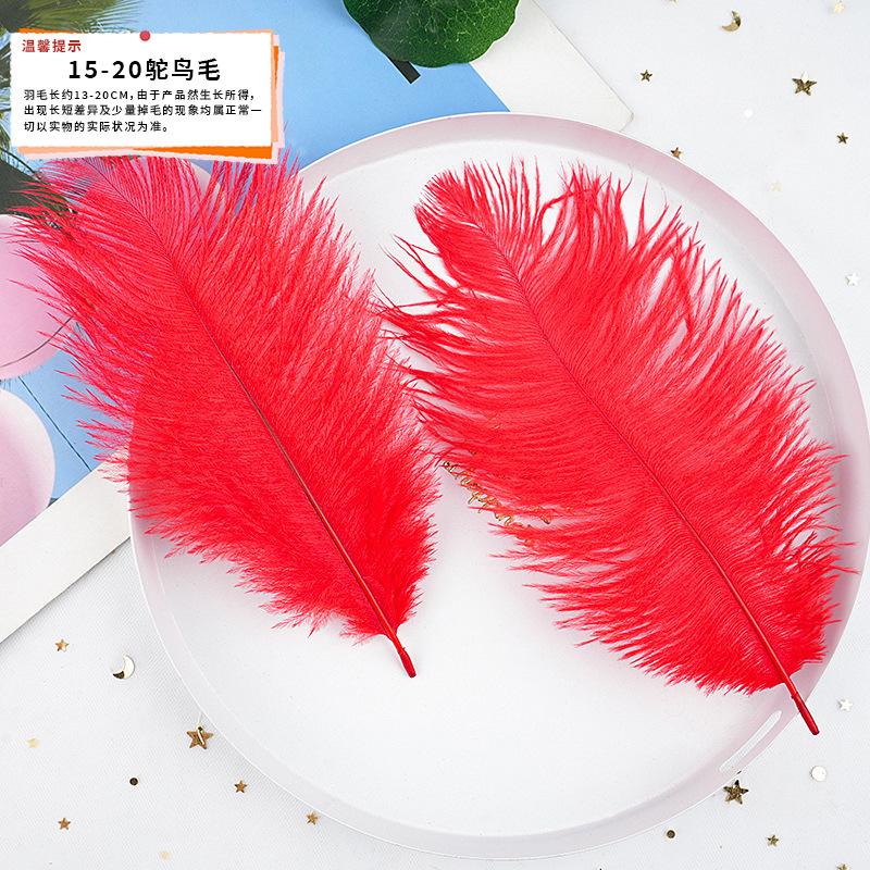 20Pcs57 Big Red Feather Diy Jewelry Accessories Clothing Handicrafts Decorative Materials
