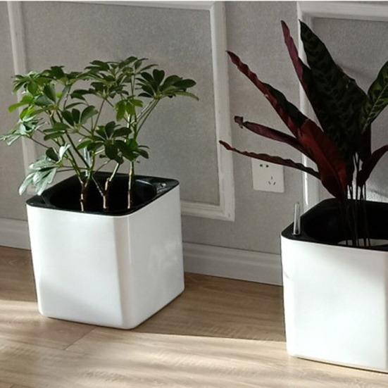 4 шт. индикатор уровня воды буйковый дисплей индикатор влажности растений цветочный горшок измеритель уровня воды для комнатных растений напоминания о нехватке воды