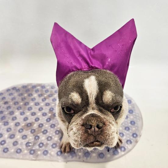 Регулируемая шапочка для душа для кошек, водонепроницаемые накладки для ушей питомца, шапочка на голову собаки со шнурком, защищает уши питомца от воды и шампуня для купания/душа