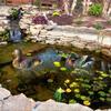 Floating Duck Sculpture for Garden Pond and Pool Decoration - Pond Decor Floating Duck Statue