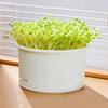 Split Structure Bean Sprout Nursery Pots Ventilated Hydroponic Germination Pot  Vegetable Growing
