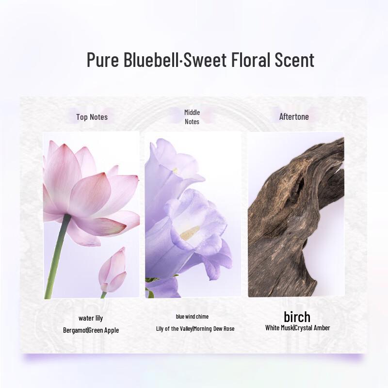 Lux Essential Oil Fragrance Shampoo - Bluebell