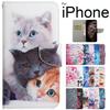 Luxury Card Holder Flip Wallet Case For iPhone 13 13 Pro 12 11 Mini Pro Max X XR XS Max 8 7 6 Plus SE2022 Case Cover