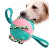 Ding Dong Pet Dog Toy Wonder Ball Tug Tab, Mint, 1 Piece