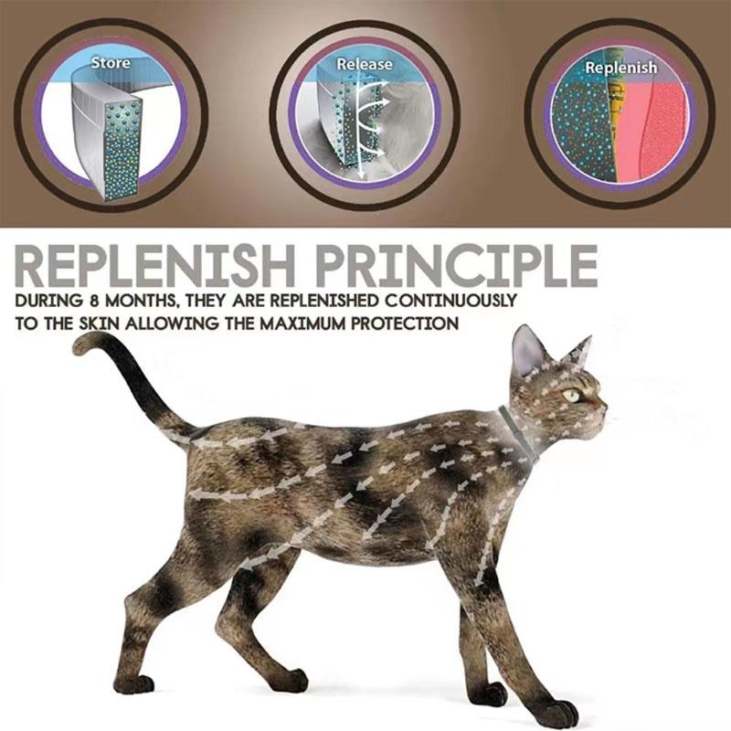 Dog Anti Flea Ticks Antiparasitic Cats Collar Retractable Mosquitoes Repellent Pet Collars For Puppy Cat Large Dogs