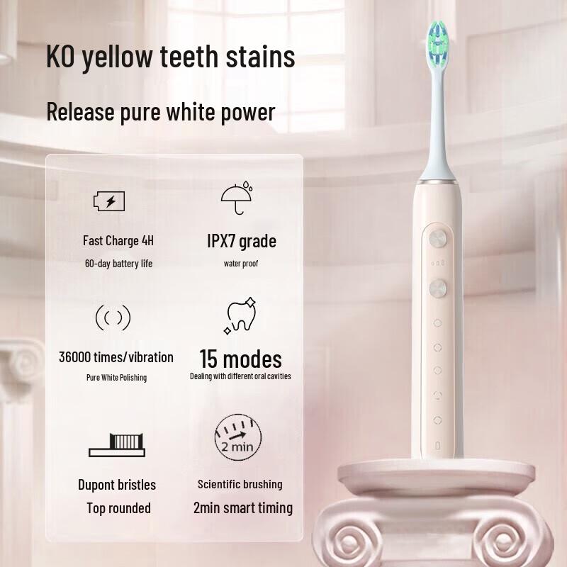 SID Sonic Electric Toothbrush for Adults & Students