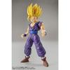 Standard Dragon Ball Super Saiyan 2 Son Gohan Plastic Model Figure-rise (Renewal) Color-coded