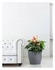 Flowerpot with plastic cover, taupe, 13.5 cm, Magnolia