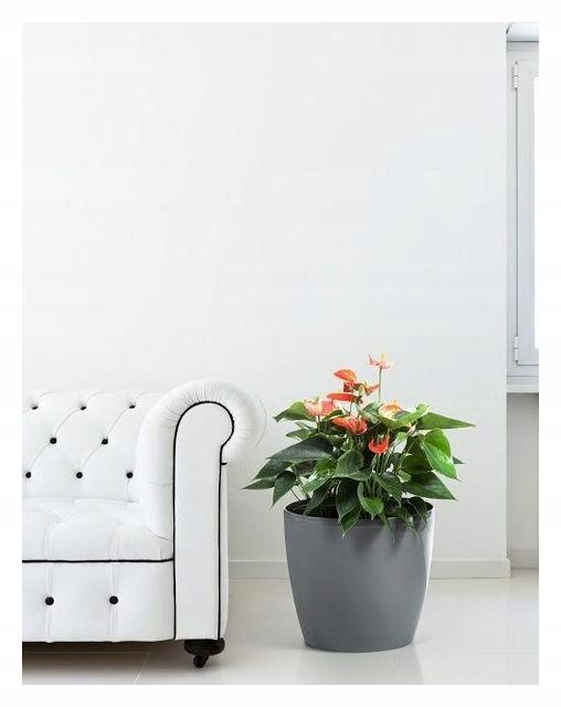 Flowerpot with plastic cover, taupe, 13.5 cm, Magnolia