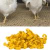 100Pcs Poultry Foot Rings Identification Leg Buckle with Numbers for Chicken Duck BirdYellow