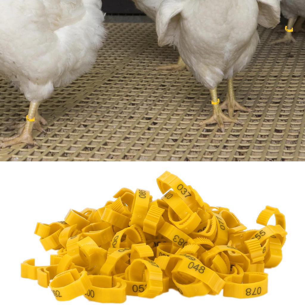 100Pcs Poultry Foot Rings Identification Leg Buckle with Numbers for Chicken Duck BirdYellow