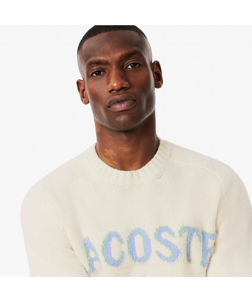 Мужской праздничный джемпер с круглым вырезом LACOSTE Ah5202-55N A9I