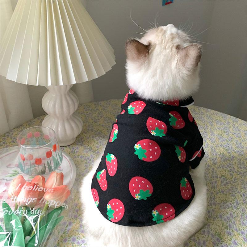 Весенний костюм кота, милая и уютная одежда для домашних животных, толстовка с капюшоном Katten Kedi, толстовка с капюшоном Gato, свитер для кошек, одежда для домашних животных, наряд