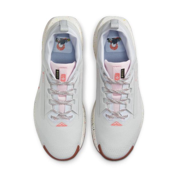FQ0908-009 Nike Pegasus Trail 5 GORE-TEX Водонепроницаемые кроссовки для трейлраннинга (Мужской)