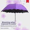 Dual-Use Water-Blooming Parasol: Foldable, Sun & Rain Black Glue Umbrella, Customizable LOGO.