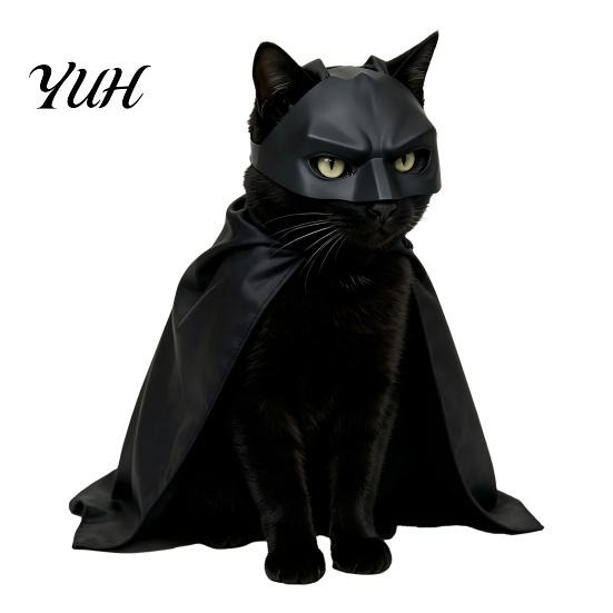 Костюм Кота Летучей Мыши на Хэллоуин, Черная Маска и Плащ, Забавные Крылья для Кошек, Милый Аксессуар для Щенков, Косплей, Вечеринка, Фотосессии
