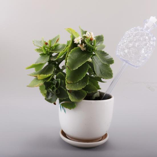 Самополивающиеся колбы Дизайн ананаса Шары для полива растений Вставка для кашпо Автоматическое устройство для полива для комнатных и уличных горшечных растений