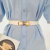 Elegant Women's Pu Elastic Waist Belt For Dresses Chic Fashion Accessory In Versatile Colors