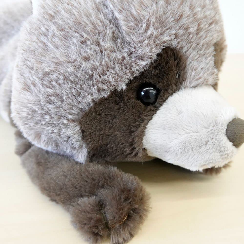 Sun Arrow Cushy Raccoon Plush Toy