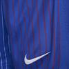 Nike FFF 2024 Стадион Выездные Футбольные Штаны Мужские Ярко-синие FJ4294-452