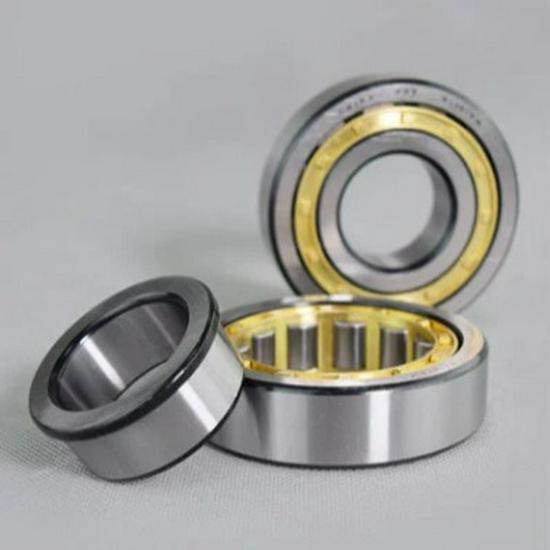 Eccentric Reducer RN Series Cylindrical Roller Bearings RN204-RN208EM In Stock