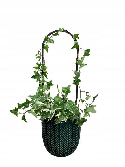 Podpora do roślin pnączy podpórka kwiatów pnących pergola drabinka l 38 cm