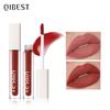 Silky Lip Glaze Non-stick Cup Does Not Fade Lip Gloss Makeup Color Liquid Lipstick Matte Moisturizing Lip Gloss