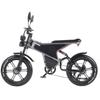 RANDRIDE Электровелосипеды 1000 Вт*2 мотор Shimano механический тормоз электровелосипед двойной амортизатор подвеска электрический мотоцикл DM711