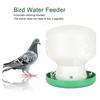Pet Brids Automatic Drinking Fountain Large Plastic Green Cover White Barrel Bird Drinker Feeder Dispenser For Pigeons Parrots