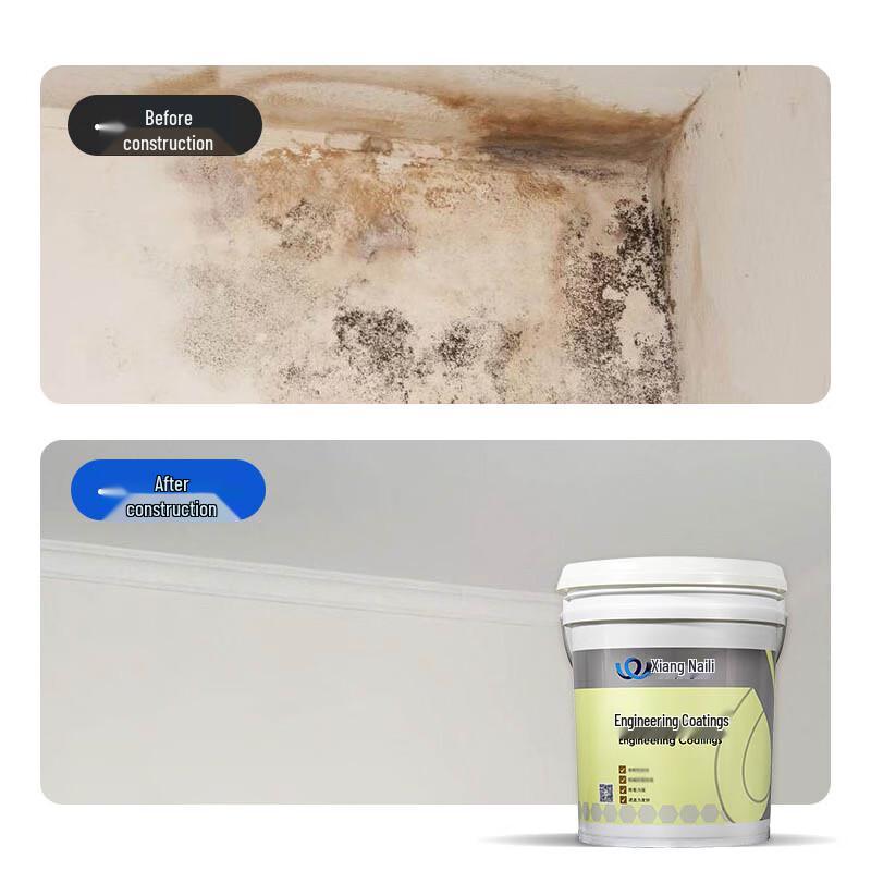 Champs-Élysées Interior Water-based Emulsion Paint