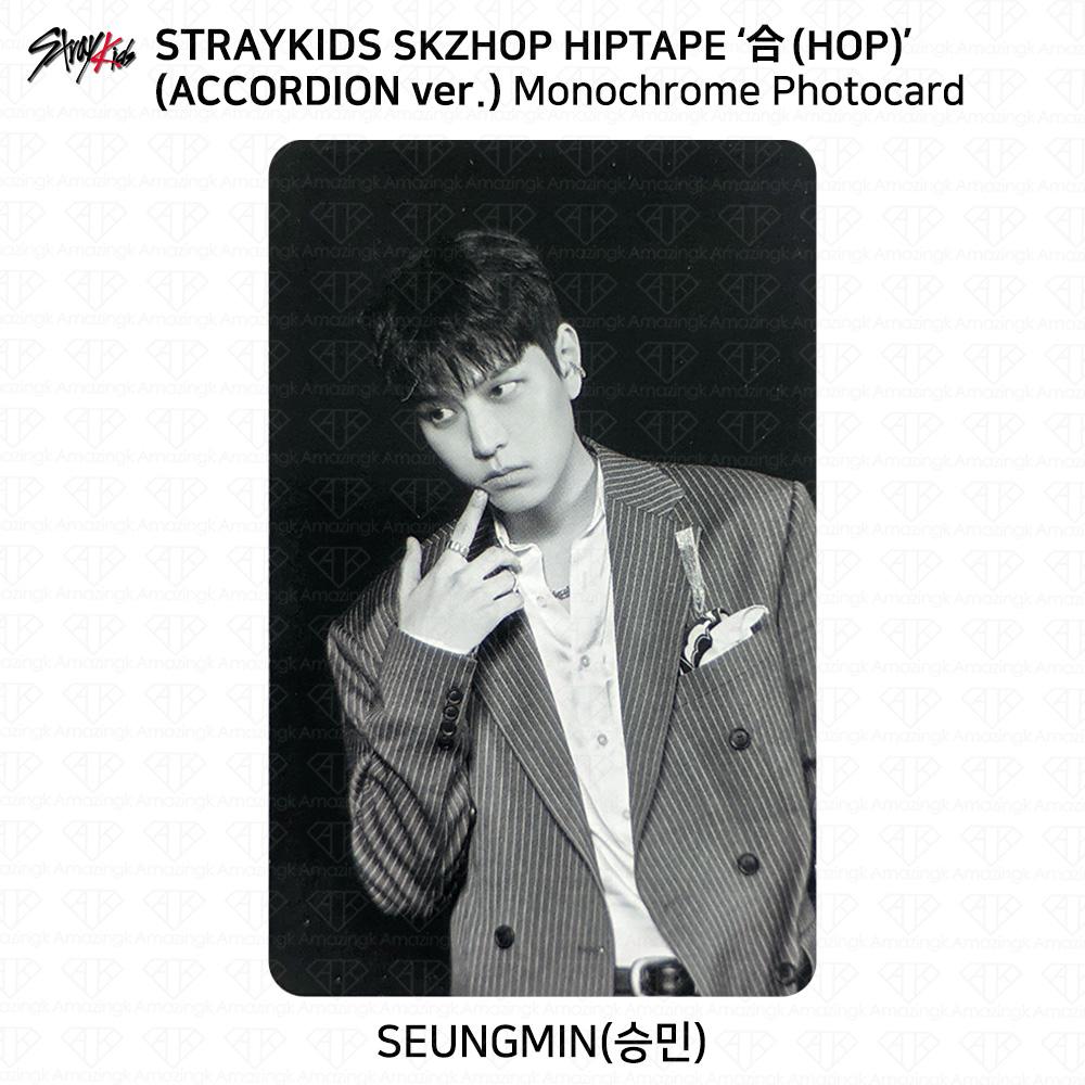 Stray Kids SKZHOP HIPTAPE HOP Аккордеон Официальная фотокарточка Unit Monochrome