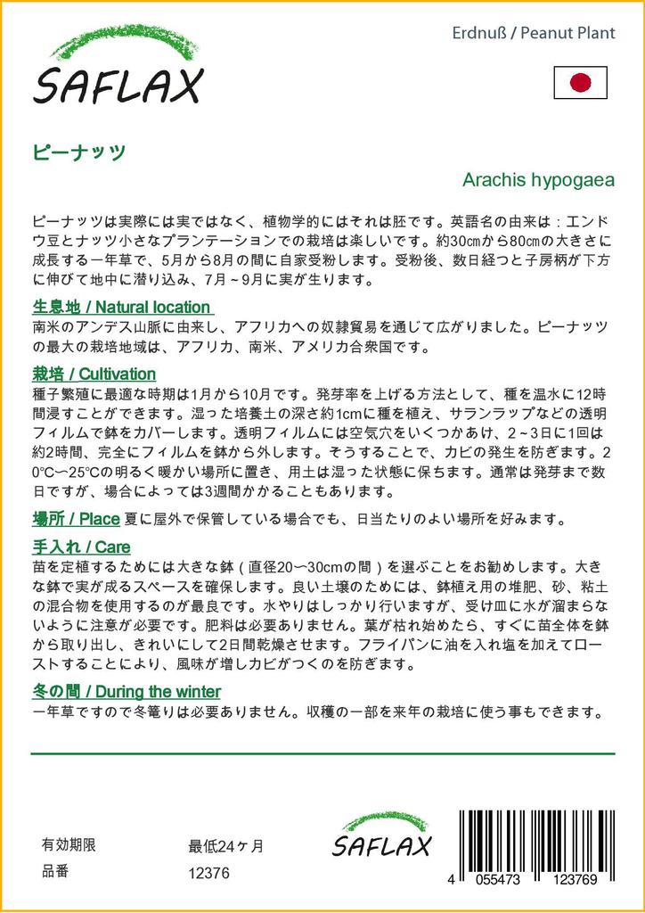 SAFLAX Арахисовое растение - 8 семян - Arachis hypogaea