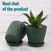 6.3 Inch Flower Pots for Home Decoration, Indoor Plant Pots, Gardening Pots for Plants, Plastic Flower Pots for Garden Plants