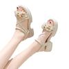 Sandals Women's New Summer Wear Exquisite Beauty with Skirt Flower Platform High-heeled Sandals