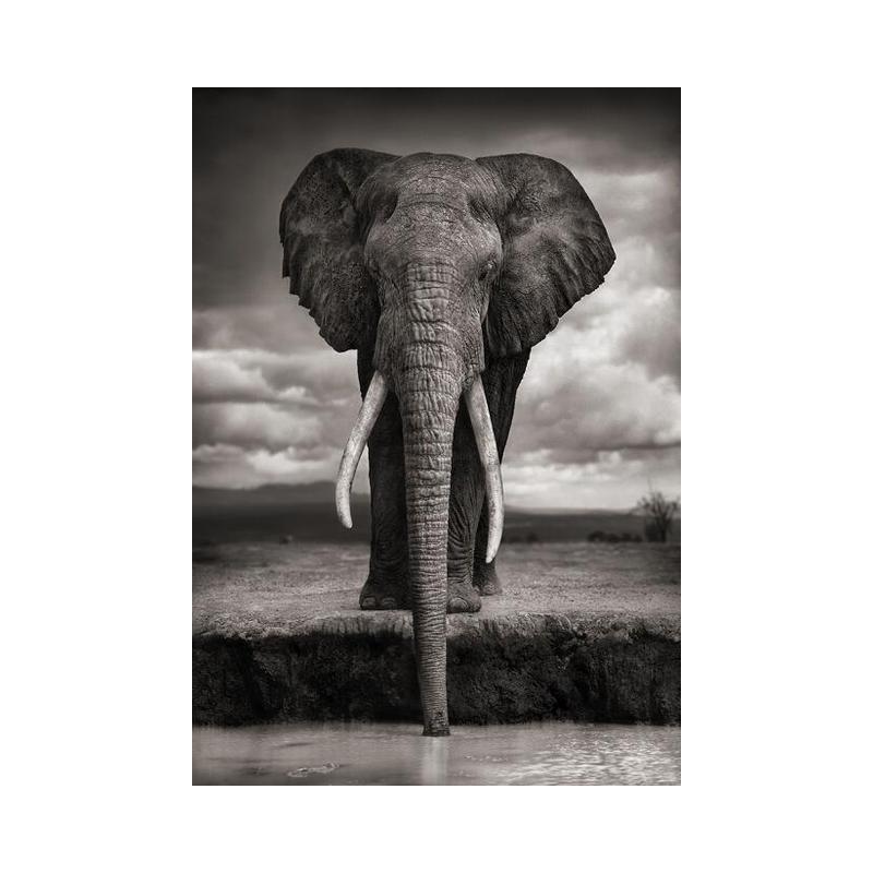 Nordic Creative Elephant Wall Paintings Print On Canvas Art Prints Animals Black And White Animals Wall Pictures For Living Room