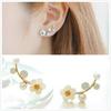 Korean Shell Flower Pearl Branch Earrings for Women