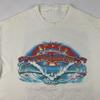 Печать на футболке VTG Phil Lesh & Friends Summer Odyssey 2001 Concert T-Shirt US349 Унисекс Футболка