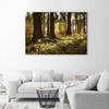 Canvas print, Forest Misty landscape