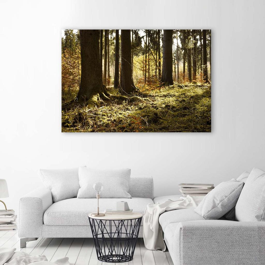 Canvas print, Forest Misty landscape