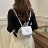2025 New Retro Fashion Solid Color Backpack Women's Bag Winter Leisure Tide Simple Travel Small Backpack Tide