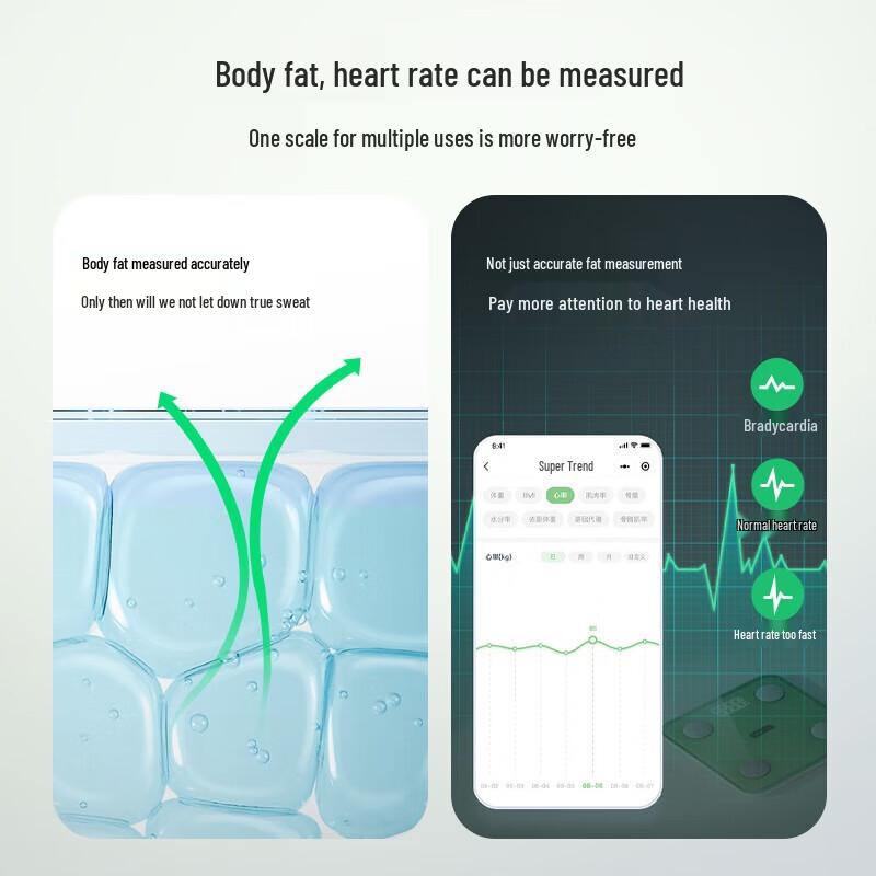 Bear Smart Body Fat & Weight Scale (CN version)