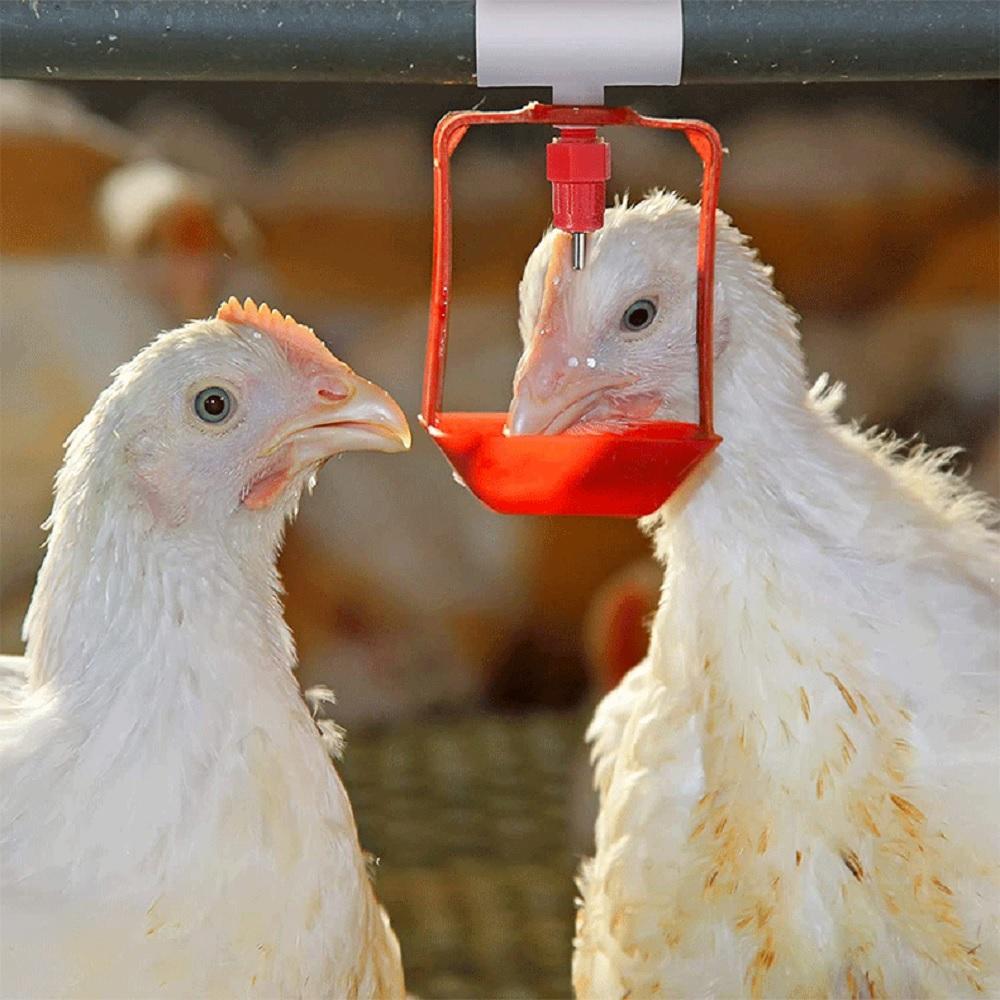 20PCS 1/2" PVC Tee Automatic Poultry Waterer Drinker Cups Chicken Water Nipples