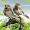 Fake Sparrow Handmade Realistic Feathered Metal Clip 3D Eyes Home Garden Decoration Crafts Wedding Indoor Outdoor