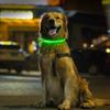 Led Dog Collar Luminous Usb Cat Dog Collar 3 Modes Led Light Glowing Loss Prevention Led Collar For Dog Pet Dog Accessories